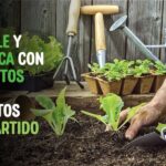 Mujeres al mando de UAQ en plena crisis